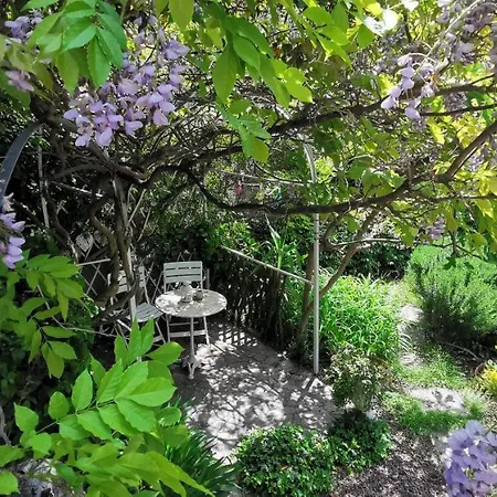 Charming In A 19th Century * Triëst