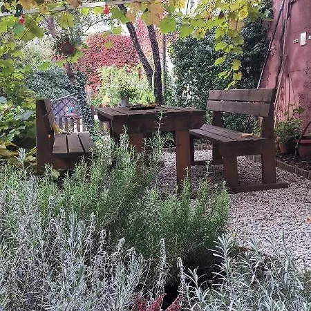 Charming In A 19th Century Appartement *