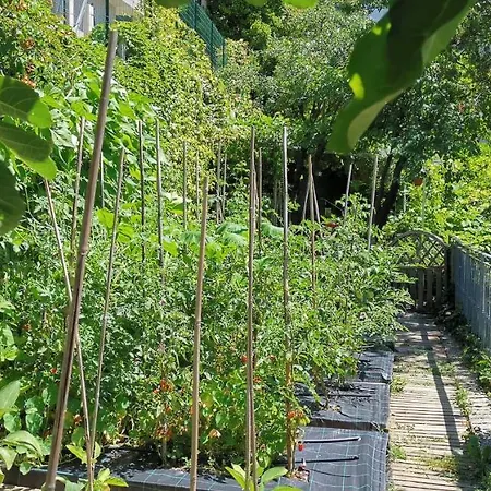 Charming In A 19th Century Appartement